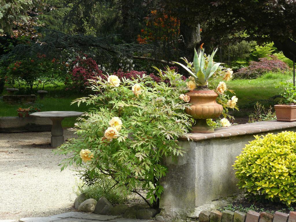 Al Concerto Bed & Breakfast San Benigno Canavese Dış mekan fotoğraf