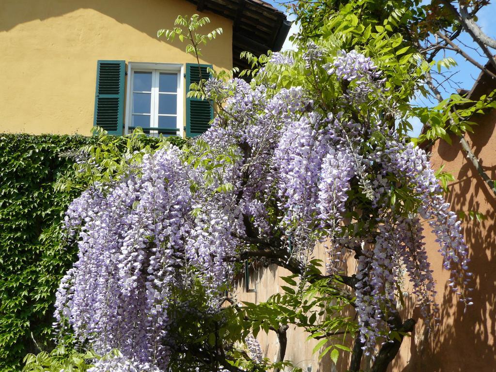 Al Concerto Bed & Breakfast San Benigno Canavese Dış mekan fotoğraf